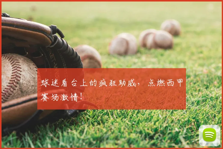 球迷看台上的疯狂助威，点燃西甲赛场激情！